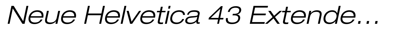 Neue Helvetica 43 Extended Light Oblique image